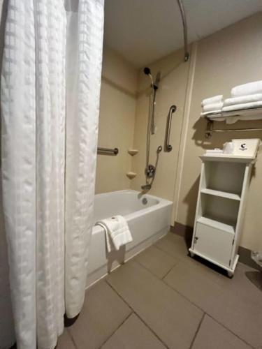 布卢明顿Comfort Inn Bloomington near University的带浴缸和淋浴帘的浴室