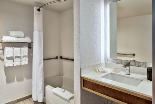 底特律底特律市区希尔顿花园旅馆的一间带水槽和淋浴的浴室