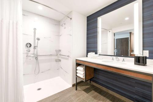 弗里蒙特Hilton Garden Inn Fremont Milpitas的带淋浴、盥洗盆和浴缸的浴室