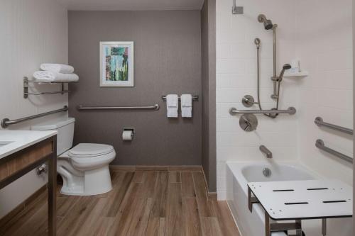 莱克奥斯韦戈Hilton Garden Inn Portland Lake Oswego的浴室配有卫生间、浴缸和水槽。