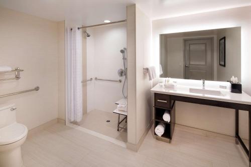 亚里索维耶荷亚里索维耶荷拉古纳海滩希尔顿惠庭套房酒店的一间带水槽、淋浴和卫生间的浴室
