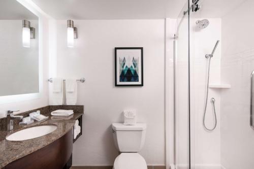 丹佛丹佛/切里克里克希尔顿花园旅馆的带淋浴、卫生间和盥洗盆的浴室