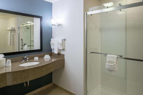 格雷普韦恩沃思堡机场北格雷普韦恩希尔顿花园旅馆的一间带水槽和淋浴的浴室