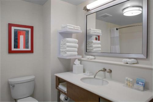 哥伦布Hampton Inn & Suites Columbus Scioto Downs的白色的浴室设有水槽和镜子