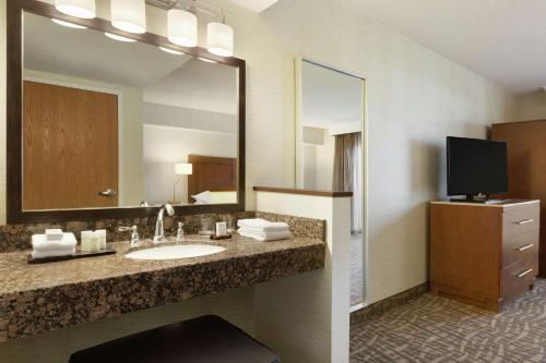 圣安娜奥兰治县机场北希尔顿圣安娜大使套房酒店的一间带水槽和大镜子的浴室