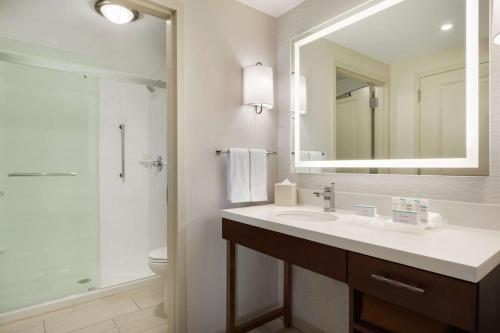 奥尔巴尼Homewood Suites by Hilton Albany Crossgates Mall的一间带水槽、淋浴和镜子的浴室