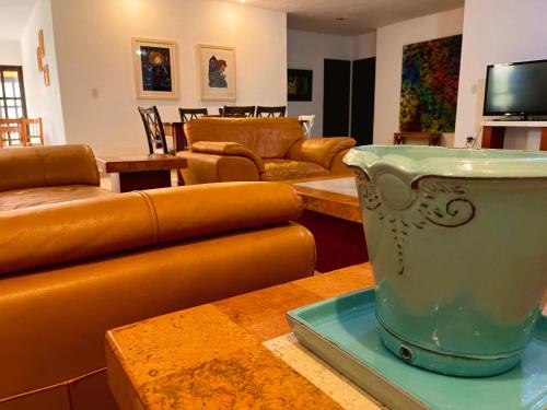 瓜纳华托LAS ALAMEDAS Departamentos céntricos con estacionamiento privado的客厅配有沙发和带锅的桌子
