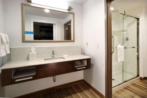 阿伯丁Hampton Inn & Suites By Hilton Baltimore/Aberdeen, Md的一间带水槽和淋浴的浴室