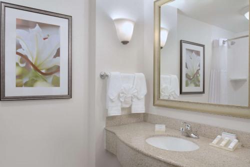 伍斯特伍斯特希尔顿花园旅馆的一间带水槽和镜子的浴室