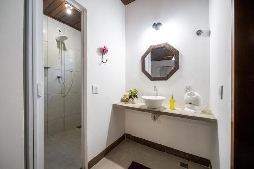 沙帕达-杜斯吉马朗伊斯Pousada Luz do Jamacá的一间带水槽和淋浴的浴室