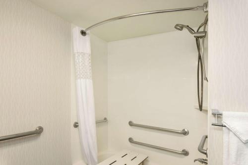 特鲁斯维尔伯明翰特鲁斯维尔汉普顿酒店的带淋浴和浴帘的浴室