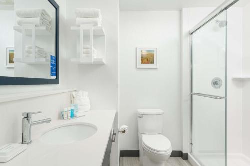 Ashland CityHampton Inn Ashland City, Tn的白色的浴室设有卫生间和水槽。
