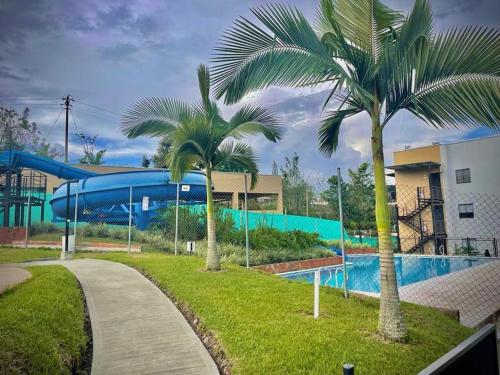 拉特瓦伊达Atardecer Quindiano的游泳池旁的几棵棕榈树