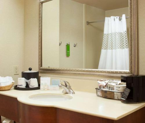 布朗斯维尔布朗斯维尔汉普顿套房旅馆的浴室设有水槽、镜子和淋浴