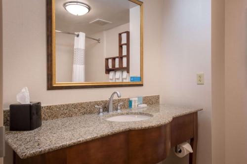 杰基尔岛杰基尔岛希尔顿恒庭旅馆&套房酒店的一间带水槽和镜子的浴室