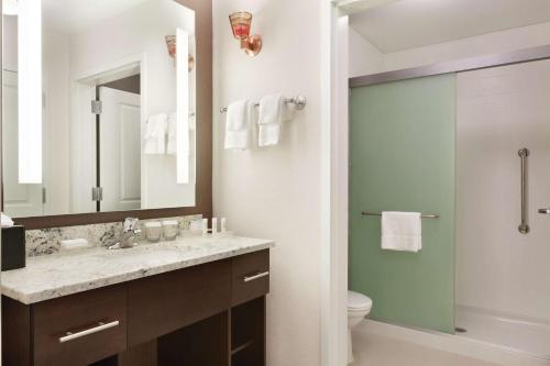 伯灵顿伯灵顿希尔顿惠庭套房酒店的一间带水槽、卫生间和镜子的浴室