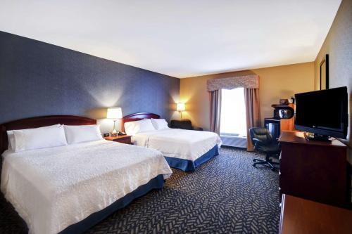 奇科皮斯普林菲尔德-奇科皮汉普顿酒店的酒店客房设有两张床和一台平面电视。
