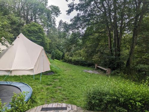 雷克瑟姆Stay Wild Retreats 'Glamping Pods and Tents'的游泳池旁草棚