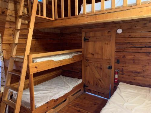 CambridgeLake Lauderdale Campground的小屋内设有一间带两张双层床的卧室
