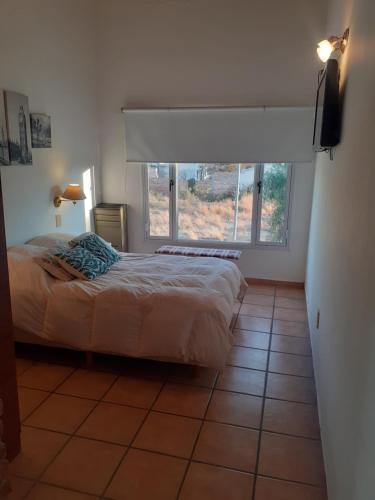 拉斯格路塔斯CABAÑAS LOS OLIVOS的一间卧室设有一张床和一个大窗户
