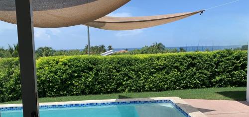 San RafaelTropical Vibes Beach House的享有带吊床的游泳池的景色