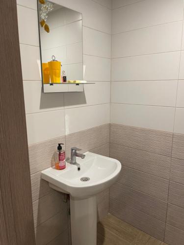 IvankovГостевой Дом «ANIKA»的浴室设有白色水槽和镜子