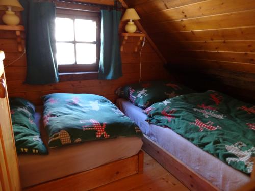 多内尔斯巴赫瓦尔德Fischerhütte Donnersbachwald的小木屋内的两张床,设有窗户