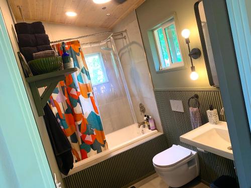 帕霍阿Seaside House and Aloha Bungalow的带淋浴、卫生间和盥洗盆的浴室