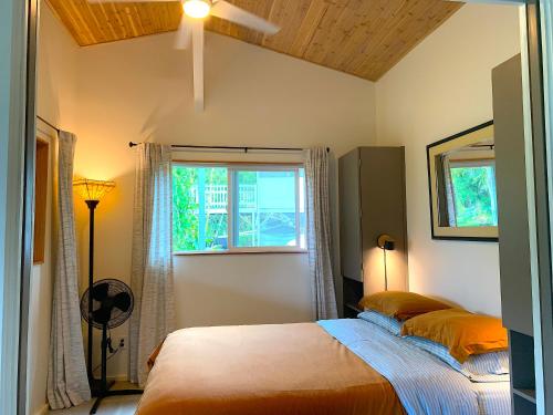 帕霍阿Seaside House and Aloha Bungalow的一间卧室设有一张床和一个窗口