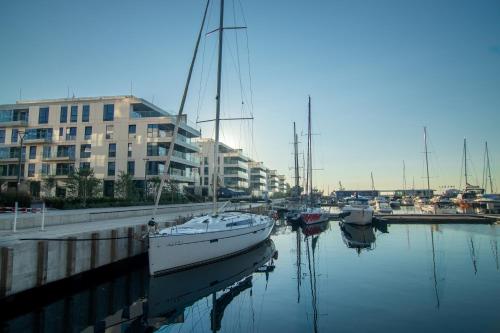 格丁尼亚Marina View - Yacht Park Premiere的一群船停靠在港口