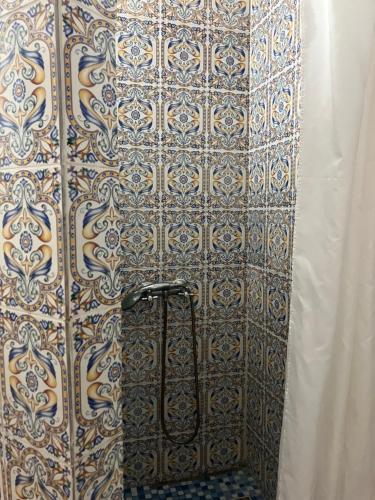 杰尔吉斯Maison d'Hote Domaine El-Manar的浴室设有带淋浴的瓷砖墙