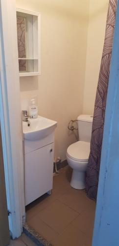 格但斯克旧城Noclegi Starogard的浴室配有白色卫生间和盥洗盆。