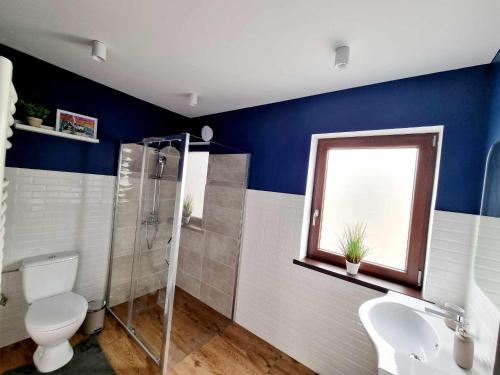 苏恰瓦Twin Cabins / Cabanele Gemene的浴室配有卫生间、淋浴和盥洗盆。