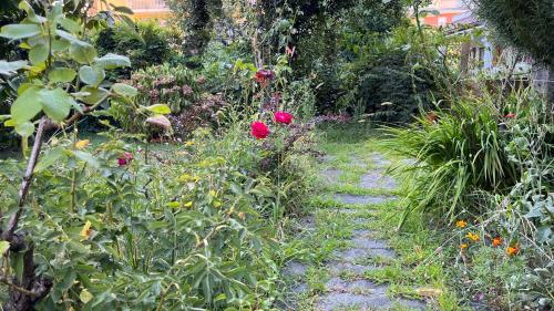 多莫多索拉Antica Casa Storica con Giardino的种满鲜花和土路的花园