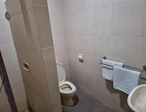 岩望Makati Pasuruan Hotel的一间带卫生间和水槽的浴室