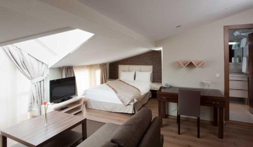 伊斯坦布尔Derpa Hotel的一间卧室配有一张床和一张书桌及电视