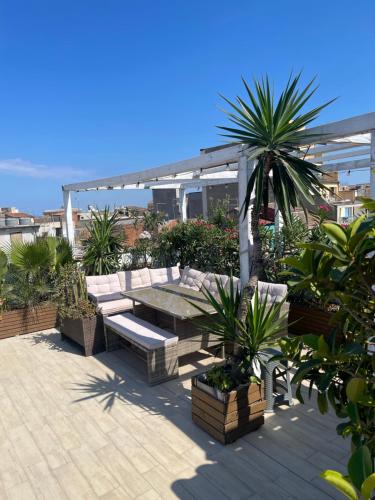 卡塔尼亚Follow The Sun Catania - Rooftop Terrace的屋顶上种有长凳和棕榈树的庭院
