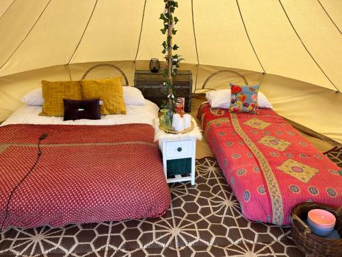 BransgoreHawthorne Field - Shoreline Escapes的一间帐篷内带两张床的卧室