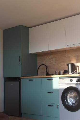 卡兹贝吉Cottage Milo Kazbegi的厨房配有蓝色橱柜和洗衣机。