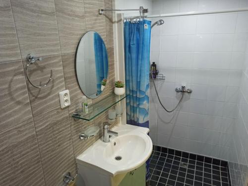 纳尔瓦约埃苏Koidula Holiday Home的一间带水槽、镜子和淋浴的浴室