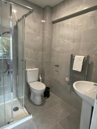 戈尔韦Madison House的浴室配有卫生间、淋浴和盥洗盆。