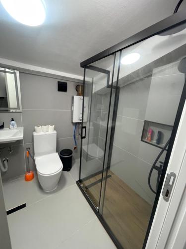 斯科普里King Size Apartment的一间带卫生间和玻璃淋浴间的浴室