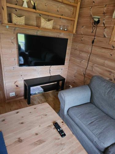 勒尔达尔Saltvold Hytte Nr8的带沙发和平面电视的客厅