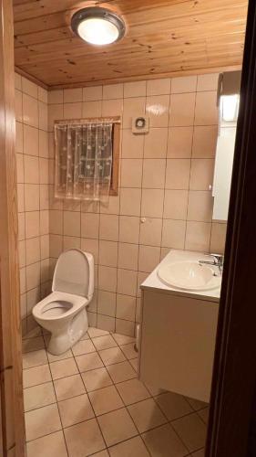 勒尔达尔Saltvold Hytte Nr8的一间带卫生间和水槽的小浴室