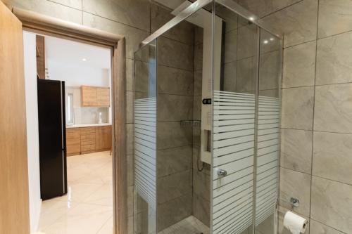 雅典Aiolos luxury suite 3 agios dimitrios center的带淋浴的浴室和玻璃门
