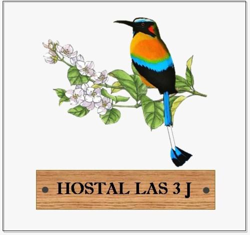 SuchitotoHostal las 3 J的坐在木标志上的五颜六色的鸟