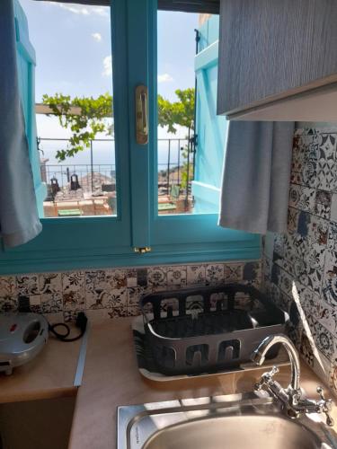 拉夫科斯Nectar的带水槽的厨房和美景窗户