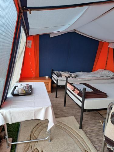 维索科MFN - Šator 1的帐篷内的两张床和一张桌子
