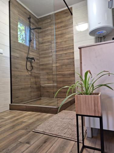 武科瓦尔Kuća za odmor Sweet Home的一间带淋浴的浴室,配有盆栽植物
