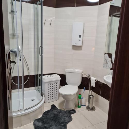 米兹多洛杰Apartament Międzyzdroje 4 osoby - 100 m od morza的带淋浴、卫生间和盥洗盆的浴室